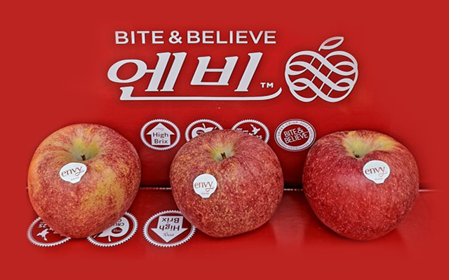 슬라이드
